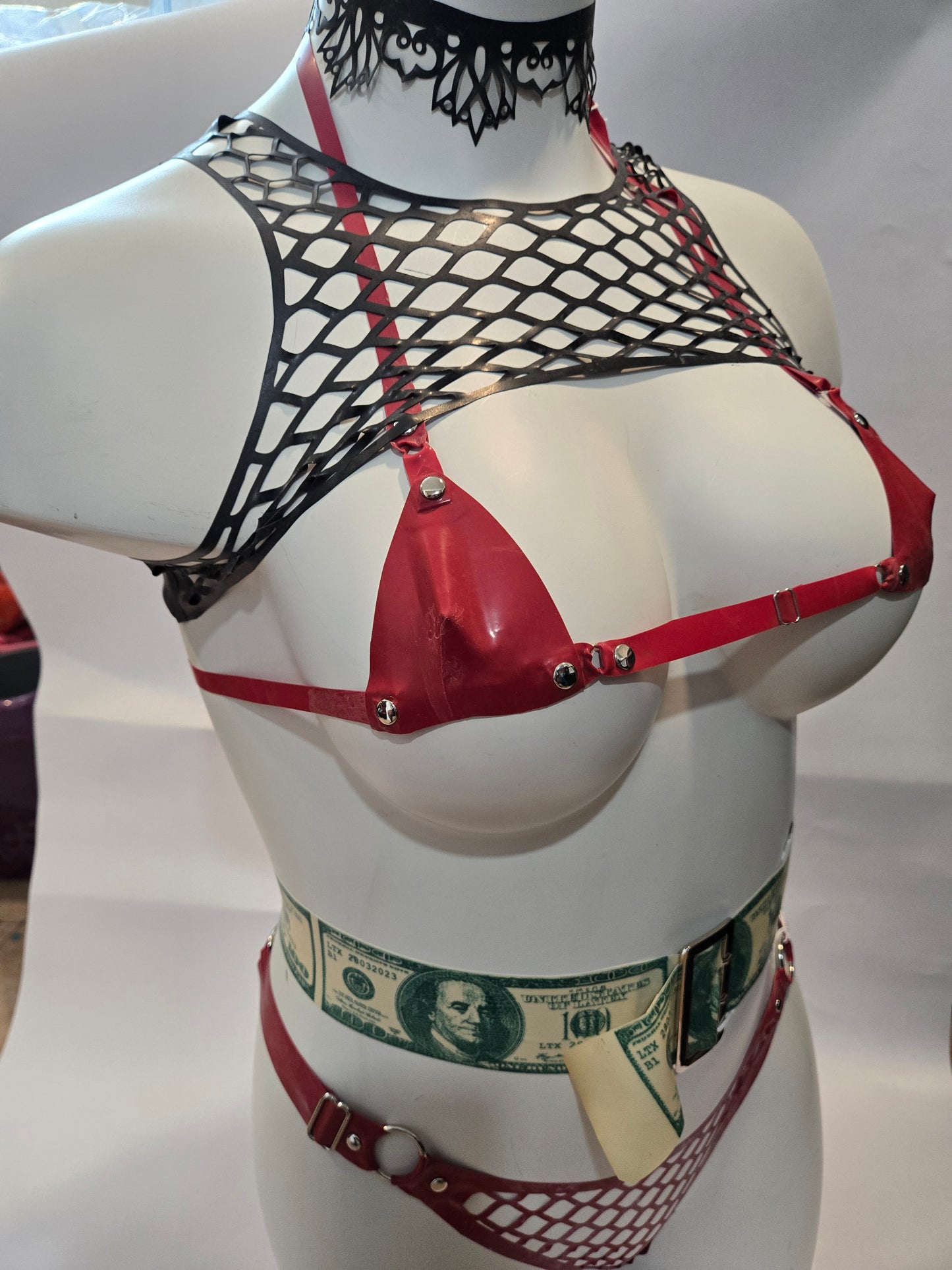 Net Pantie