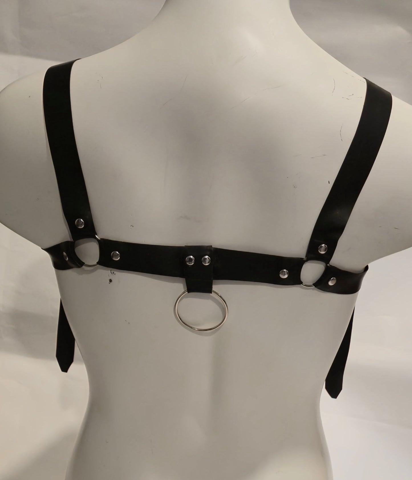 Body Harness + Leash