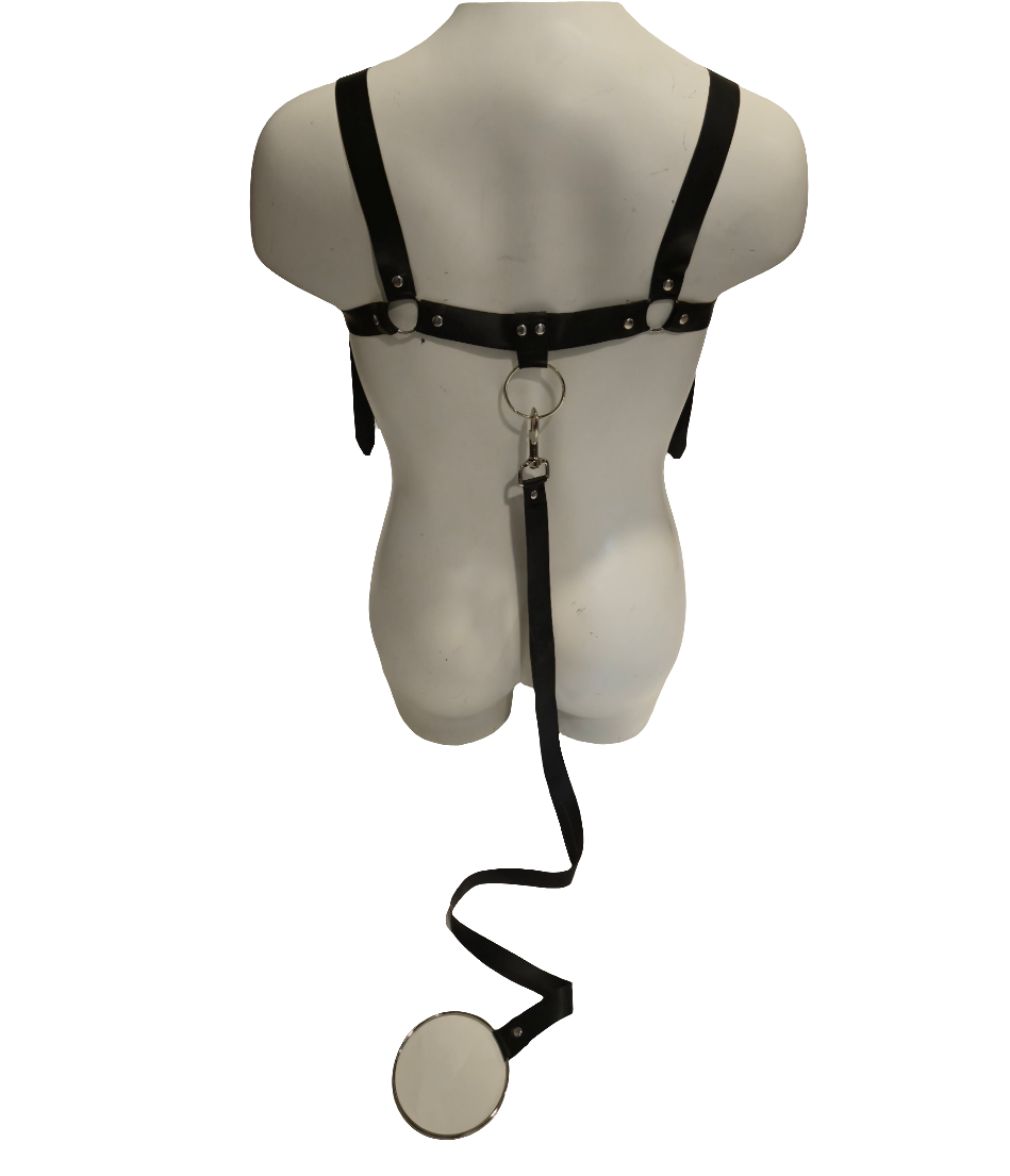 Body Harness + Leash