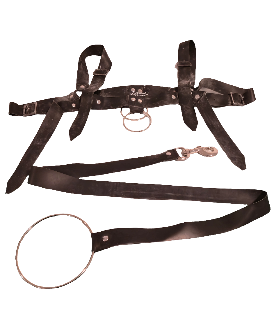 Body Harness + Leash