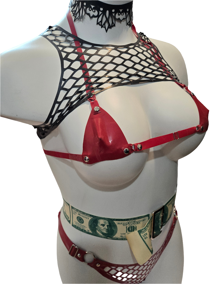 Net Harness