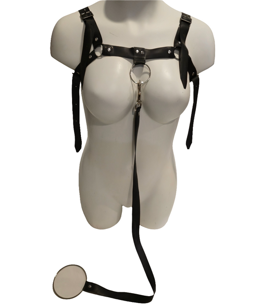 Body Harness + Leash